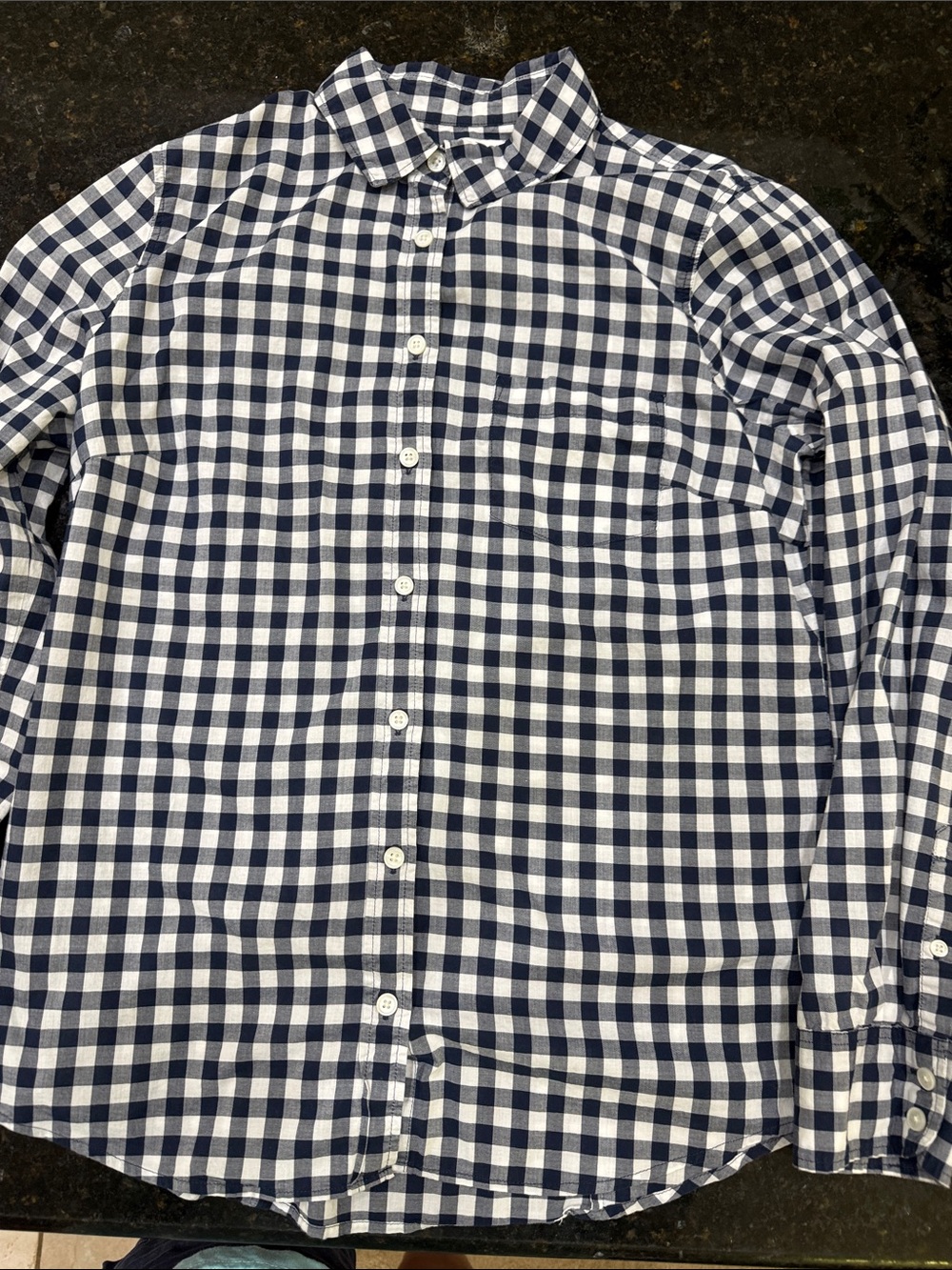 J. Crew Navy and White Gingham Button-Down Shirt